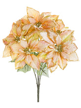 Load image into Gallery viewer, Peach Beige