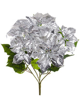 Load image into Gallery viewer, Silver