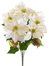 Load image into Gallery viewer, Cream Gold