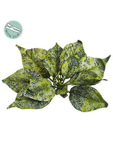 Load image into Gallery viewer, Green Gold