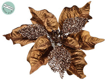 Load image into Gallery viewer, Bronze