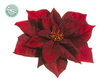 Load image into Gallery viewer, Burgundy Burgundy
