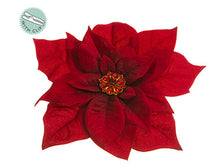 Load image into Gallery viewer, Red Red