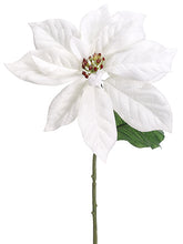 Load image into Gallery viewer, White