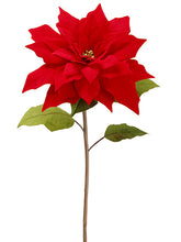 Load image into Gallery viewer, Red Red