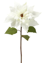 Load image into Gallery viewer, White