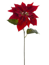 Load image into Gallery viewer, Red