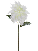 Load image into Gallery viewer, White
