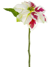 Load image into Gallery viewer, Cream Boysenberry