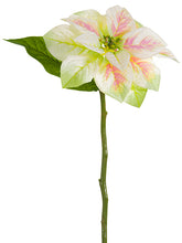 Load image into Gallery viewer, Cream Pink