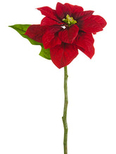 Load image into Gallery viewer, Red