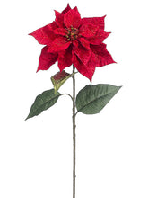 Load image into Gallery viewer, Red