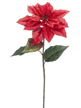 Load image into Gallery viewer, Red