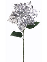 Load image into Gallery viewer, Silver