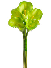 Load image into Gallery viewer, Green