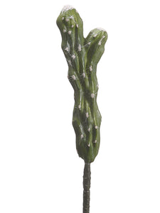 10.75" Churro Cactus  Green (pack of 12)
