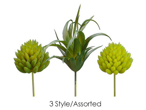 Mini Cactus Assorted (3 Style/Assorted) Assorted (pack of 12)