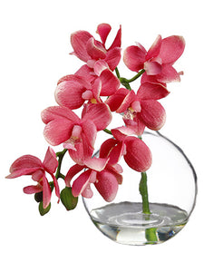 10" Phalaenopsis Orchid in Glass Vase Pink (pack of 1)