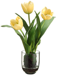 14.9" Tulip in Glass Vase in Re-Shippable Box Yellow (pack of 1)