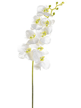 Load image into Gallery viewer, White