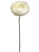 Load image into Gallery viewer, Cream