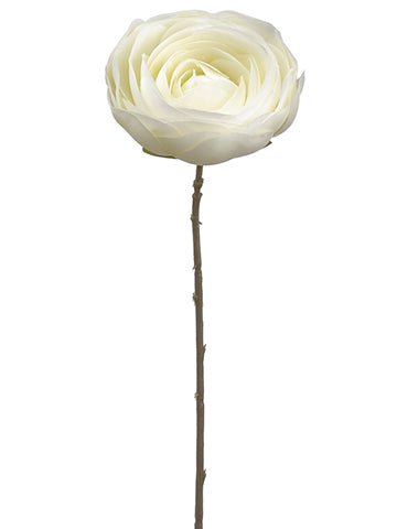Cream