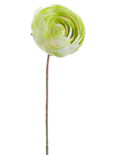 Load image into Gallery viewer, Green