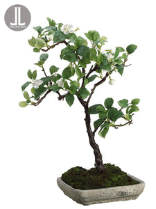 18.5" Apple Blossom Mini Tree in Cement Plate in Re-Shippable Box White (pack of 2)