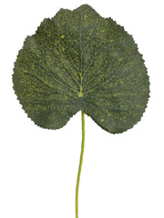 9" Galax Leaf Pick  Green (pack of 576)