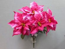 Load image into Gallery viewer, Two Tone Fuchsia