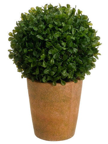 10" Boxwood Ball in Terra Cotta Pot Green (pack of 2)