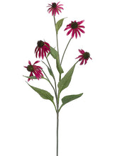 Load image into Gallery viewer, Rubrum