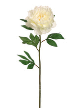Load image into Gallery viewer, Cream
