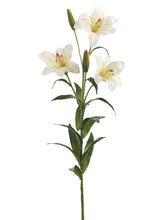 Load image into Gallery viewer, White