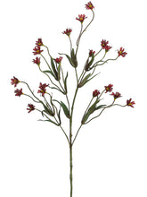 Load image into Gallery viewer, Burgundy