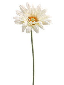 27" Royal Gerbera Daisy Spray  White (pack of 6)