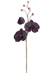 29" Phalaenopsis Orchid Spray  Antique Purple (pack of 6)